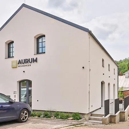 Aurum B-2 By Interhome * Černý Dŭl